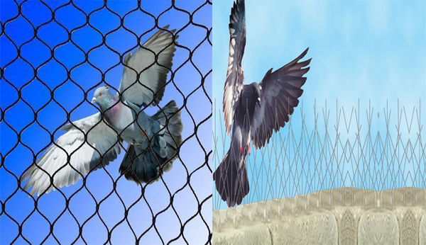 Bird Spikes Safety Nets In Vijayawada