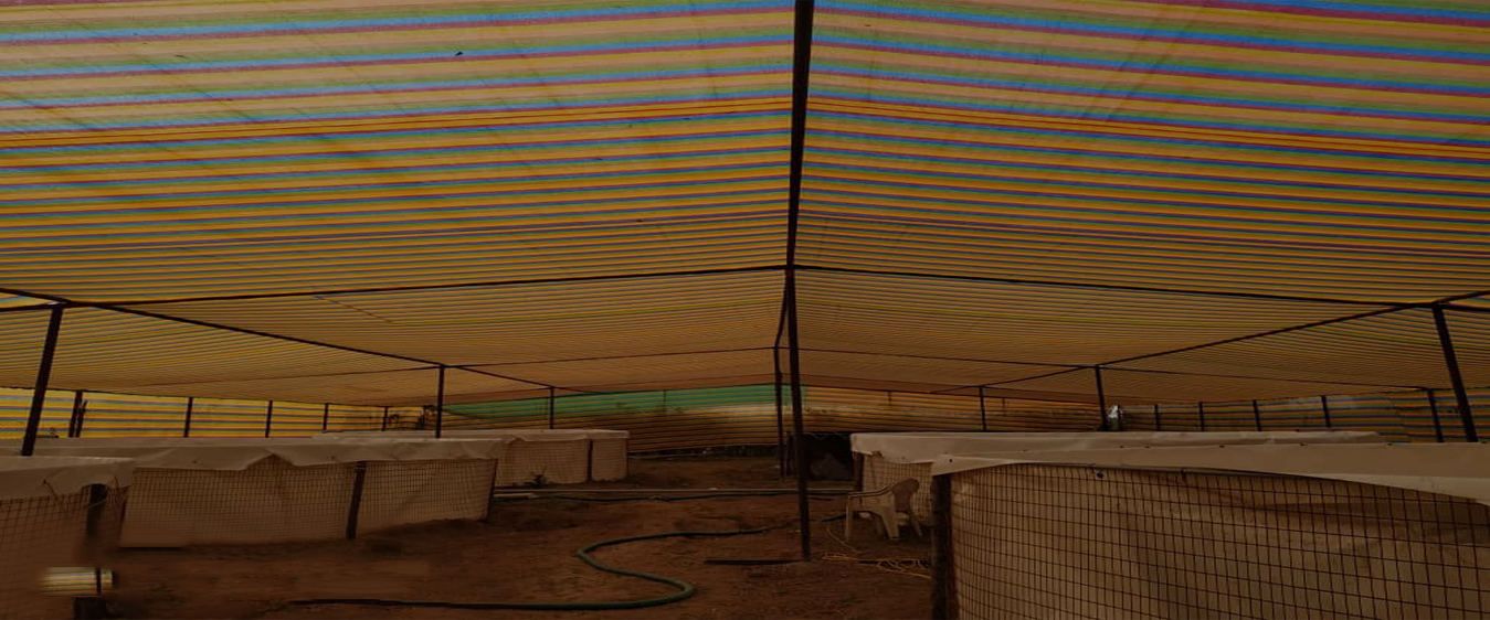 Safety Nets Distributors in Vijayawada Call 9505662916 Now for Free Installation